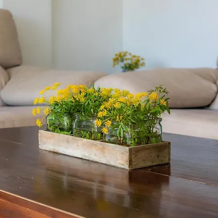 펜션 Casa Luz 칼라 라트자다